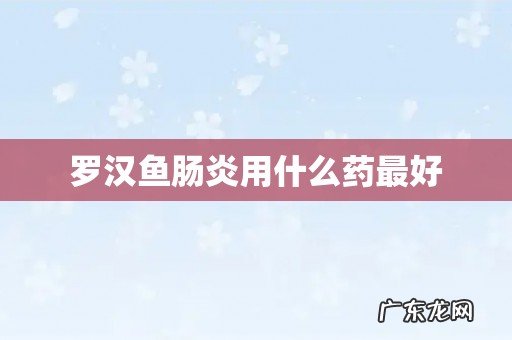 罗汉鱼肠炎用什么药最好