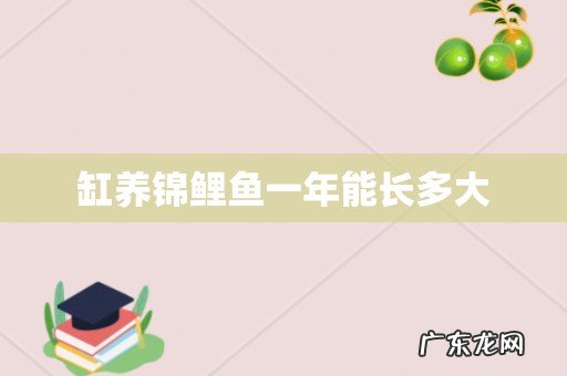 缸养锦鲤鱼一年能长多大