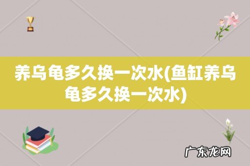 鱼缸养乌龟多久换一次水 养乌龟多久换一次水