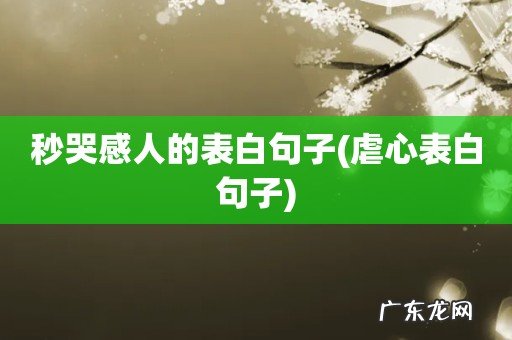 虐心表白句子 秒哭感人的表白句子