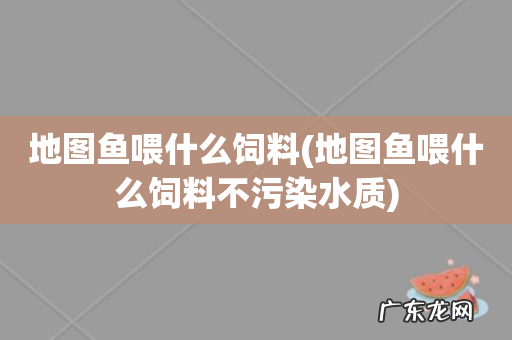 地图鱼喂什么饲料不污染水质 地图鱼喂什么饲料
