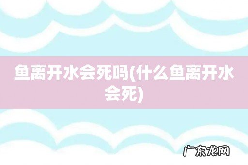 什么鱼离开水会死 鱼离开水会死吗