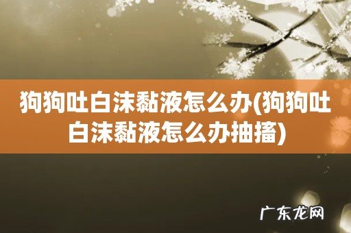 狗狗吐白沫黏液怎么办抽搐 狗狗吐白沫黏液怎么办