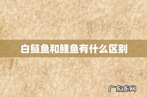 白鲢鱼和鲤鱼有什么区别