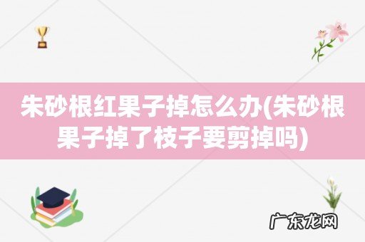 朱砂根果子掉了枝子要剪掉吗 朱砂根红果子掉怎么办