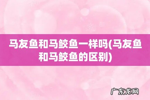 马友鱼和马鲛鱼的区别 马友鱼和马鲛鱼一样吗
