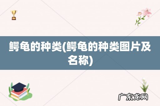 鳄龟的种类图片及名称 鳄龟的种类