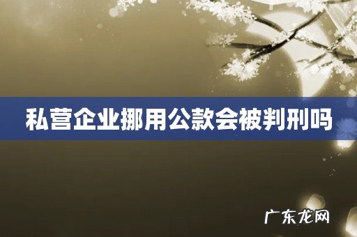 私营企业挪用公款会被判刑吗
