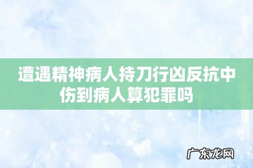 遭遇精神病人持刀行凶反抗中伤到病人算犯罪吗