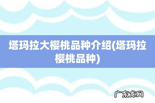塔玛拉樱桃品种 塔玛拉大樱桃品种介绍