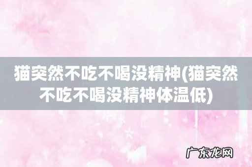 猫突然不吃不喝没精神体温低 猫突然不吃不喝没精神