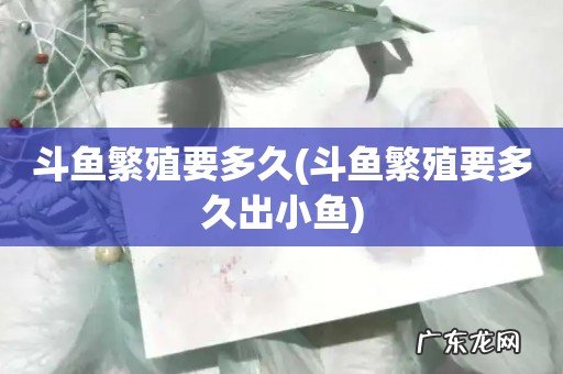 斗鱼繁殖要多久出小鱼 斗鱼繁殖要多久