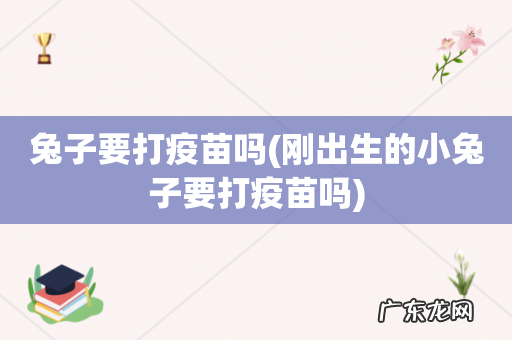 刚出生的小兔子要打疫苗吗 兔子要打疫苗吗