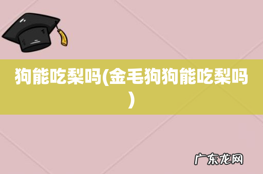 金毛狗狗能吃梨吗 狗能吃梨吗
