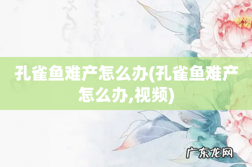孔雀鱼难产怎么办,视频 孔雀鱼难产怎么办