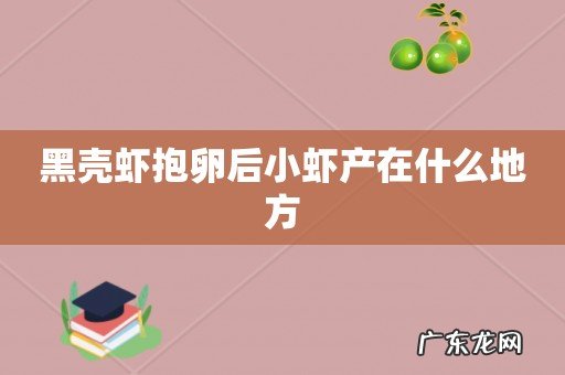 黑壳虾抱卵后小虾产在什么地方