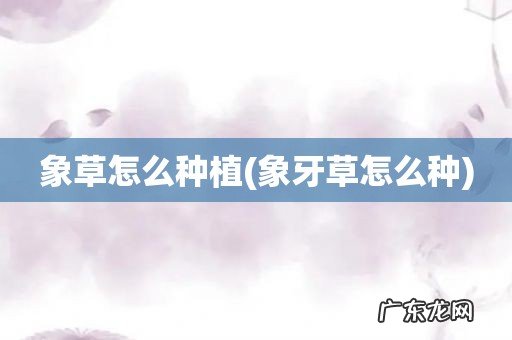 象牙草怎么种 象草怎么种植