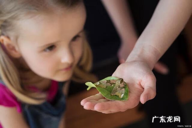 给小孩起乳名 小孩乳名