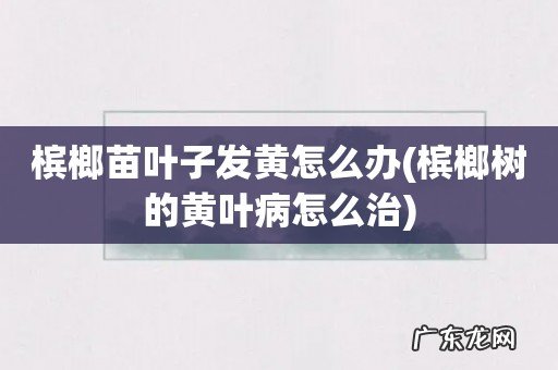 槟榔树的黄叶病怎么治 槟榔苗叶子发黄怎么办