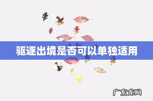 驱逐出境是否可以单独适用