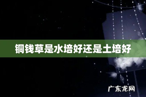铜钱草是水培好还是土培好