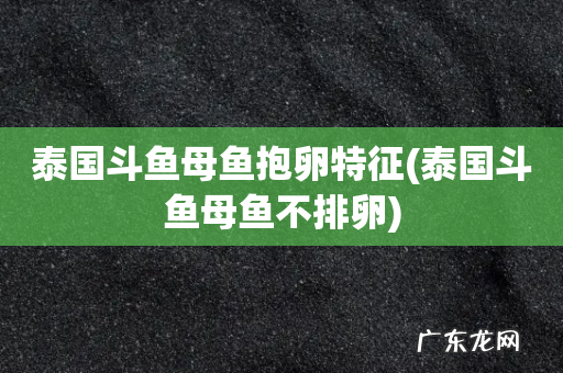 泰国斗鱼母鱼不排卵 泰国斗鱼母鱼抱卵特征
