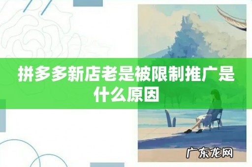 拼多多新店老是被限制推广是什么原因