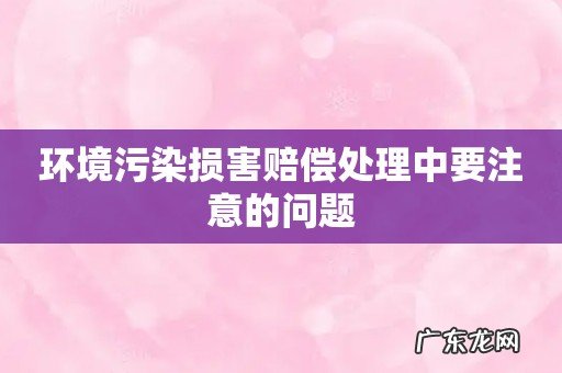 环境污染损害赔偿处理中要注意的问题