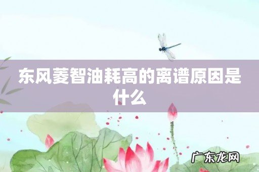 东风菱智油耗高的离谱原因是什么