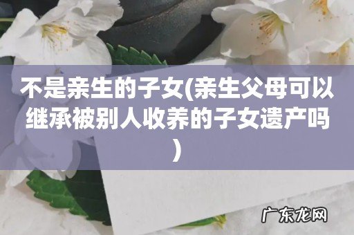 亲生父母可以继承被别人收养的子女遗产吗 不是亲生的子女