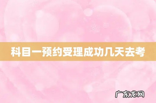 科目一预约受理成功几天去考