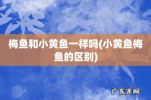 小黄鱼梅鱼的区别 梅鱼和小黄鱼一样吗
