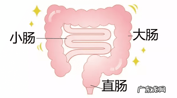 吃火锅拉肚子的原因 吃火锅拉肚子是怎么回事