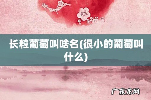 很小的葡萄叫什么 长粒葡萄叫啥名