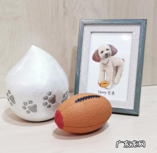 火化后的骨灰有没有风水 骨灰有风水吗