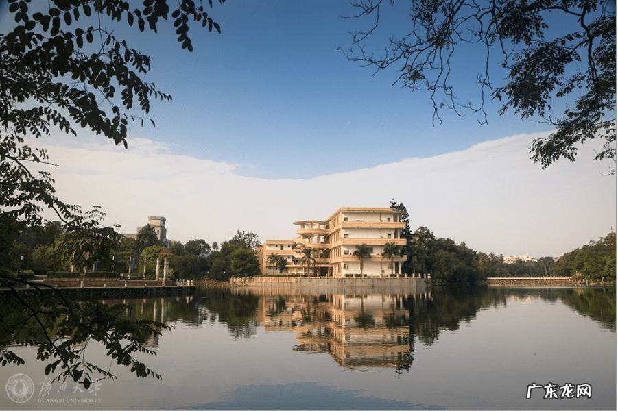 梧州狮卧山风水 梧州清华生风水地