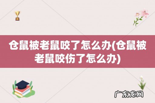仓鼠被老鼠咬伤了怎么办 仓鼠被老鼠咬了怎么办