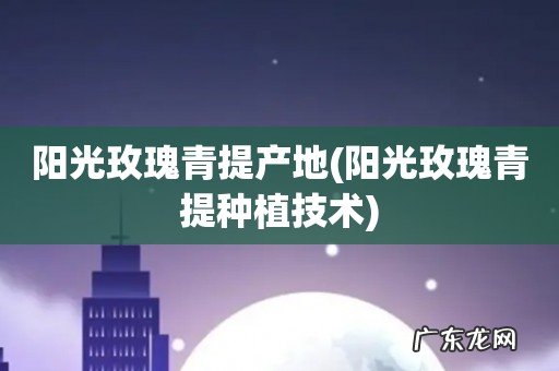 阳光玫瑰青提种植技术 阳光玫瑰青提产地