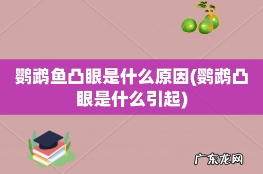鹦鹉凸眼是什么引起 鹦鹉鱼凸眼是什么原因