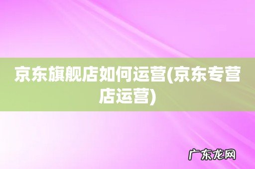 京东专营店运营 京东旗舰店如何运营