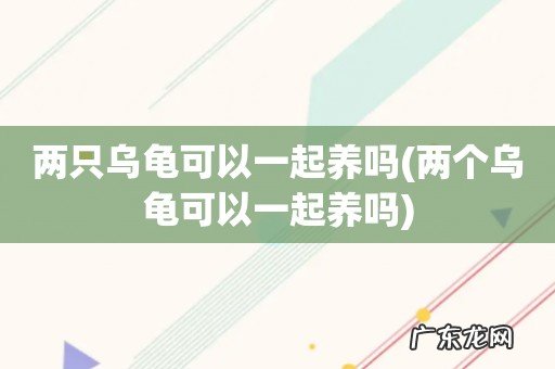 两个乌龟可以一起养吗 两只乌龟可以一起养吗