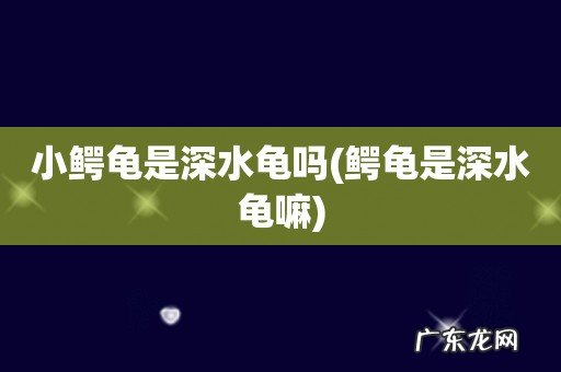 鳄龟是深水龟嘛 小鳄龟是深水龟吗