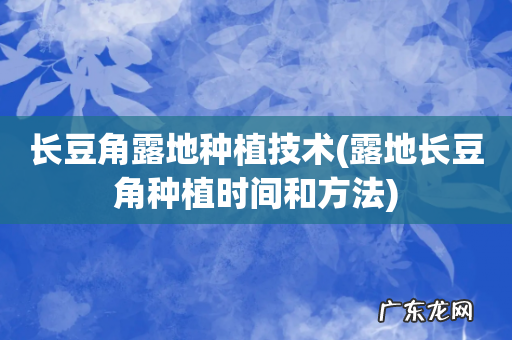 露地长豆角种植时间和方法 长豆角露地种植技术