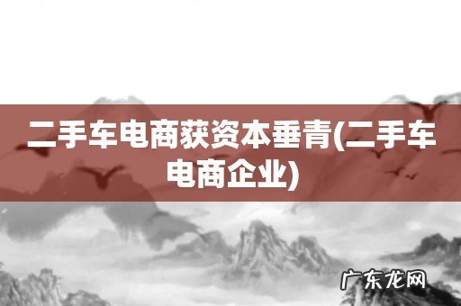 二手车电商企业 二手车电商获资本垂青