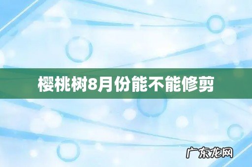 樱桃树8月份能不能修剪