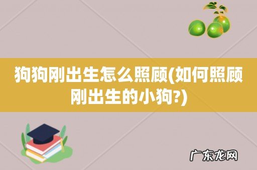 如何照顾刚出生的小狗? 狗狗刚出生怎么照顾