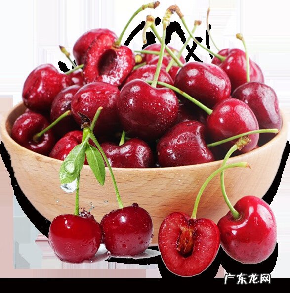 谷雨的寓意是什么意思 谷雨的寓意和象征