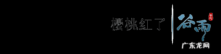 谷雨的寓意是什么意思 谷雨的寓意和象征