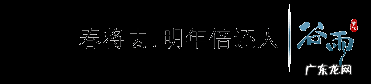 谷雨的寓意是什么意思 谷雨的寓意和象征