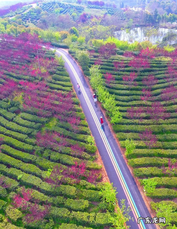 谷雨的寓意是什么意思 谷雨的寓意和象征